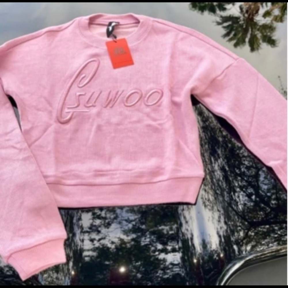 Pink Gsuwoo Sweater